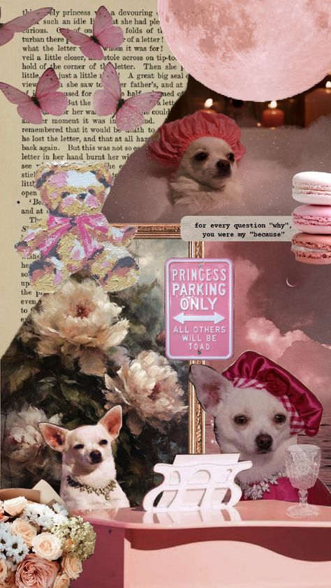 Chloe #beverlyhillschihuahua #chihuahua #dogs #pink #coquette Beverly Hills Chihuahua, Pink Coquette, Chihuahua Dogs, Beverly Hills, Chihuahua, Chloe, Collage, Disney, Dogs