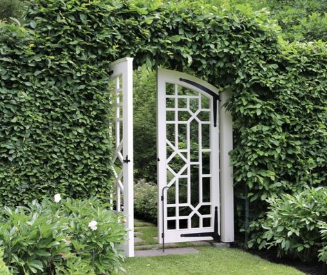 English Garden Gates Entrance, Hedge Gate Entrance, Metal Garden Gate Ideas, Hedge With Gate, Secret Garden Gate, Hedge Garden Design, Garden Gate Ideas, Garden Gates And Fencing, Metal Garden Gates