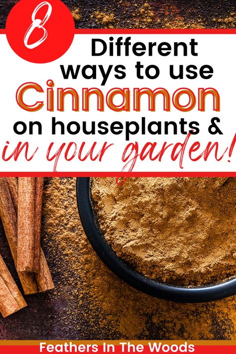 cinnamon for the garden Cinnamon For Plants, Rooting Hormone Diy, Cinnamon In The Garden, Getting Rid Of Nats, Plant 101, Cinnamon Plant, Cinnamon Garden, Cinnamon Uses, Survival Preparedness