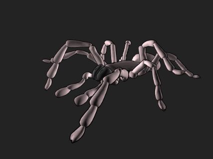 Spider Animation, Spider Reference, Spider Monster, Posing Reference, Walking Gif, Moving Gif, Drawing Tuts, Walking Animation, Flying Saucers