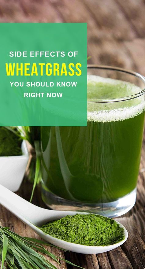 Wheat Grass Smoothie Recipes, Wheatgrass Smoothie Recipe, Wheat Grass Recipes, Wheatgrass Recipes, Benefits Of Parsley, Wheatgrass Benefits, Wheatgrass Smoothie, Wheat Grass Shots, Great Health