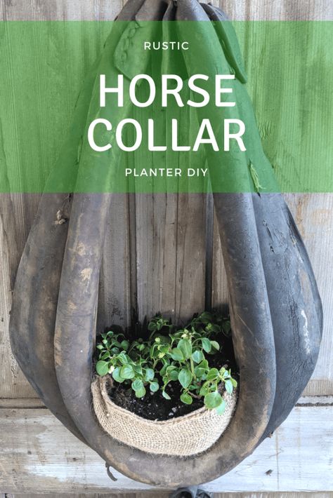 Horse Collar Planter | Rustic and Re-purposed Decor  #horsecollar #rusticplanter #repurpose Horse Collar Decor, Antique Western Decor, Horse Planter, Cowboy Home Decor, Horseshoe Gifts, Repurposed Decor, Horse Harness, Collars Diy, Rustic Planters