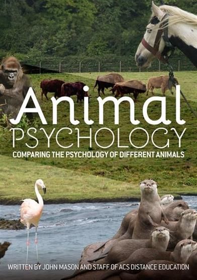 Animal Perception | Pet response to stimuli Animal Psychology, Animal Behaviour, Animal Reiki, Animal Communication, Health Psychology, Word Nerd, Animal Science, Animal Book, Animal Behavior