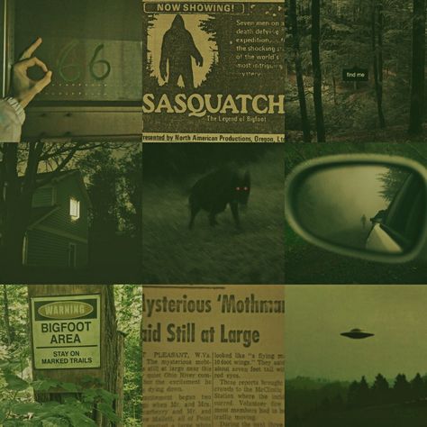 Cryptidcore Aesthetic, Paranormal Aesthetic, Apocalypse Aesthetic, Paranormal Investigation, Southern Gothic, Aesthetic Moodboard, Ghost Hunting, Gravity Falls, Moss Green