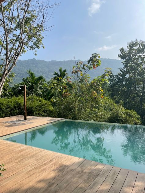 Sri Lanka tropical jungle villa infinity pool, outdoor shower Jungle Villa, Pool Outdoor, Infinity Pool, Outdoor Shower, Sri Lanka, Villa, Pool, Shower, Outdoor Decor