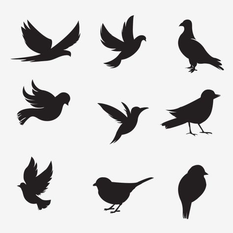 Bird Silhouette Art, Simple Wall Paintings, Silhouette Sport, Vogel Silhouette, Shadow Illustration, Shadow Painting, Silhouette Paper, Silhouette Tattoos, Diy Wall Painting