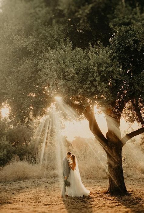 Wedding Landscape Photography Photo Ideas, Wedding Foto Ideas Creative, Rustic Wedding Photos Ideas, Rustic Wedding Portraits, Woods Elopement Photo Ideas, Outdoor Wedding Pictures Ideas, Wedding Photo Ideas Woods, Wedding Pictures On A Boat, Wedding Photo Ideas Walking Down Aisle