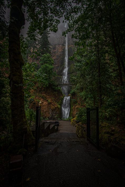 Oregon Images | So when it rains Is when I like to visit popular spots like Multnomah falls , it's when you can enjoy the view without all the people in high heels sn... Oregon Rain, Grants Pass Oregon, Beautiful Oregon, Grants Pass, Multnomah Falls, Oregon Washington, Facebook Groups, When It Rains, Rainy Days