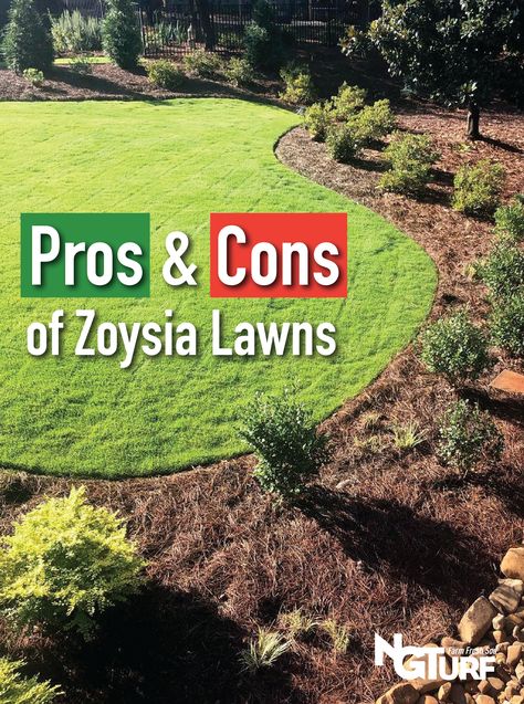 Sod Before And After, Zoysia Grass Lawn, Types Of Grass For Lawn, Zoysia Grass Care, Zoysia Lawn, Zoysia Sod, Sod Grass, Best Grass Seed, Grass Types