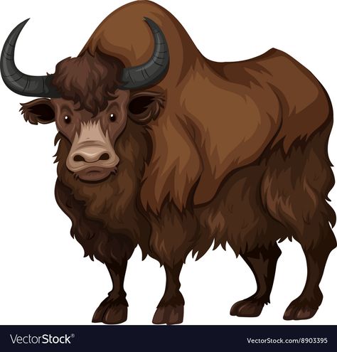 Buffalo with brown fur Royalty Free Vector Image Yak Image, Easy Animals To Draw, Animals To Draw, Drawing Instructions, Easy Animal Drawings, Fairy Drawings, Drawing Tutorials For Beginners, Easy Animals, Easy Drawing Tutorial