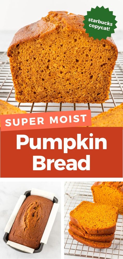 Starbucks Copycat Pumpkin Bread, Starbucks Pumpkin Loaf Copycat, Best Shortbread Cookie Recipe, Design Eat Repeat, Copycat Food, Best Pumpkin Bread, Best Pumpkin Bread Recipe, Starbucks Pumpkin Bread, Pumpkin Spice Bread