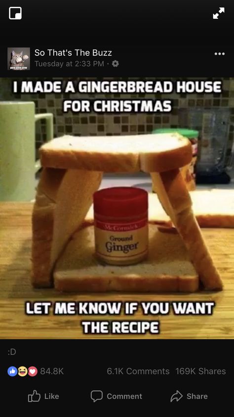 Elf makes gingerbread house Metdaan Diy, Make A Gingerbread House, Quotes Christmas, Christmas Memes, Humor Quotes, Food Humor, Gingerbread House, Christmas Humor, Gingerbread