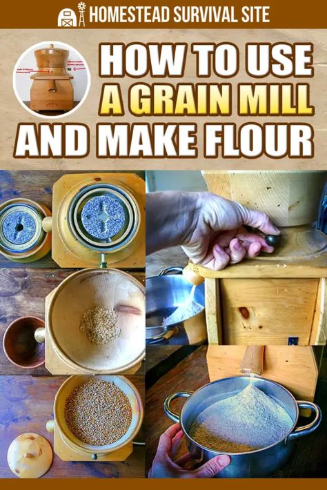 Make Flour, How To Make Flour, Homesteading Life, Emergency Preparedness Food, Grain Mill, Indian Diet, Homesteading Skills, Wheat Berries, Emergency Preparation