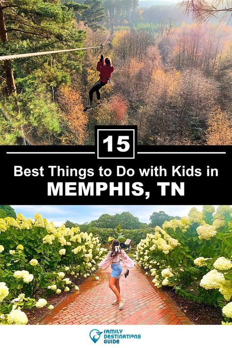 15 Best Things to Do in Memphis with Kids Things To Do In Memphis Tn, Things To Do In Memphis, Free Family Activities, Kids Things To Do, Ultimate Bucket List, Things To Do With Kids, Family Destinations, Memphis Tennessee, Fun Family Activities