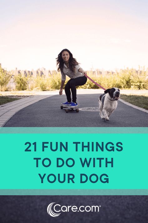 Activities To Do With Dogs, Dog Bonding Activities, Fun Activities To Do With Your Dog, Activities To Do With Your Dog, Activities With Dogs, Fun Things To Do With Your Dog At Home, Fun Things To Do With Your Dog, Things To Do With Your Dog, Things To Do With Dogs