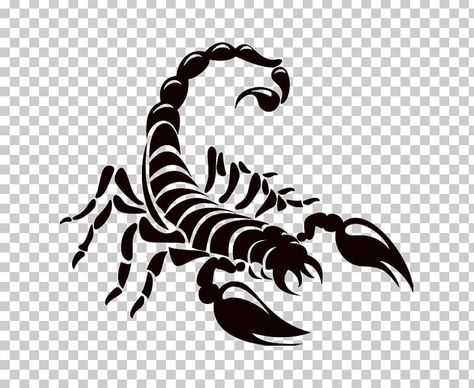 White Claw Drawing, Tatu Png, Scorpion Drawing Simple, Melon Mocktail, Png Images For Editing Logo, Claw Drawing, Scorpion Vector, Scorpion Drawing, Scorpion Logo