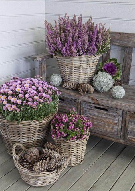 Potted Mums, Front Porch Decorating, Deco Floral, Deck Decorating, Garden Cottage, Terra Cotta, Backyard Garden, Cottage Garden, Garden Projects