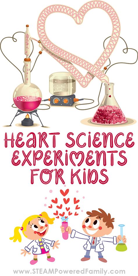 Heart Science Experiments To Inspire A Love Of Learning Biology Heart, Valentine Science Experiments, Unicorn Activities, Heart Science, Biology Experiments, Science Valentines, Physics Experiments, Heart Theme, Homeschooling Tips