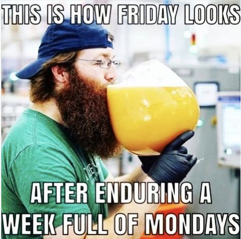 Celebrate the arrival of the weekend with these hilarious Friday memes. The end of the week is a perfect time to make someone laugh. #funny #memes #friday Tgif Meme, Tgif Funny, Friday Meme, Funny Friday Memes, Friday Quotes Funny, Alcohol Humor, Good Morning Funny, Its Friday Quotes, Joke Of The Day