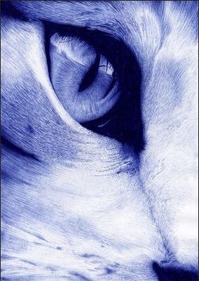 cat eye by Jaime de la Torre (de la torre art) with ballpoint pen Eye Pen Drawing, Ballpen Sketch, Ballpen Drawing, Stylo Art, Biro Drawing, Biro Art, Ballpoint Pen Art, Ink Pen Art, Pen Art Work