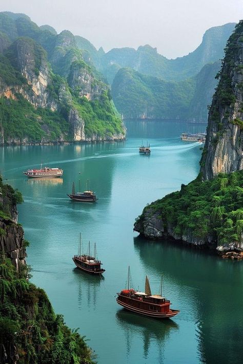 Vietnam Travel Tips and Planning | 🚤 Mystical Seascape: Ha Long Bay, Vietnam's Limestone Marvel 🇻🇳 | Facebook Vietnam Honeymoon, Ha Long Bay Vietnam, Halong Bay Vietnam, Travel Vietnam, Vietnam Tours, Ha Long Bay, Ha Long, Hanoi Vietnam, Travel South