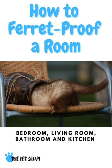 Ferrets Care, Ferret Cage, Pet Ferret, Pocket Pet, Single Room, Be Dangerous, Animal Projects, Back To Nature, Pet Parent