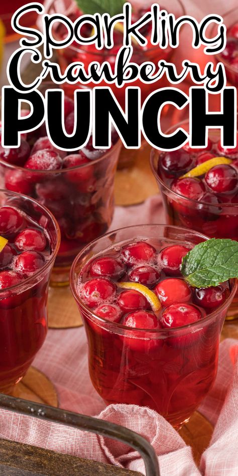 Sparkling Cranberry Punch, Jamaican Sorrel Drink Recipe, Cranberry Sprite, Sorrel Drink Recipe, Wine Punch Recipes, Fun Christmas Drinks, Cranberry Vodka Punch, Christmas Party Punch, Party Punch Recipe