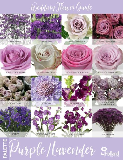 Shades Of Purple Wedding Flowers, Purple Flower Types, Light Purple Wedding Flowers, Purple Flower Names, Wedding Flower Types, Pink Purple Wedding, Pink Green Wedding, Wedding Flower Guide, Light Purple Flowers