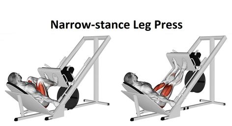 The Narrow-stance Leg Press is a machine-based workout that focuses on the muscles in the legs. It focuses on the quads, specifically those muscles that are located in the outer hips and quads. It is usually used as an addition to the squat or as a building exercise during lower-body conditioning which is typically done for moderate-to-high […] Calf Press, Leg Press Machine, Gym Machines, Leg Day Workouts, Fitness Progress, Leg Press, Legs Workout, Workout Machines, Lower Body Workout