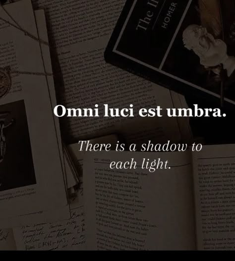 Latin Phrases Aesthetic, Dark Latin Phrases, Latin Translations, Latin Language Learning, Edgy Quotes, Literary Love Quotes, Latin Quotes, Latin Language, Foreign Words