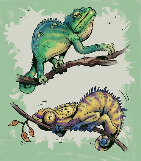 Chameleon Art, Poses References, Animal Sketches, Arte Animal, Arte Fantasy, Lizards, Character Design References, Character Development, Art Portfolio