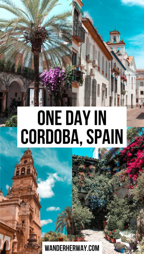 Things To Do In Cordoba Spain, Cordoba Spain Aesthetic, Cordova Spain, Spain In Summer, Andalucia Spain Travel, Spain Cordoba, Andalusia Travel, Travel To Spain, Spain Destinations