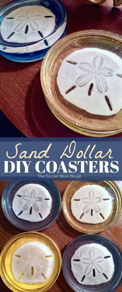 Sand Dollar Craft, Sand Dollar Art, Beach Crafts Diy, Sand Dollar Ornament, Beachy Stuff, Beach Themed Crafts, Seashell Projects, Shells And Sand, Nautical Crafts