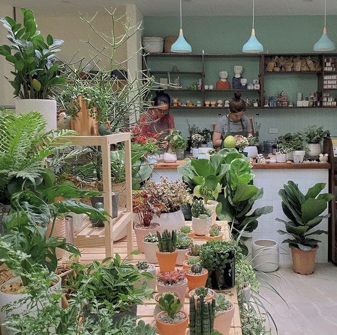 Japanese Flower Shop, Sunset Nursery, Tansy Plant, Flower Shop Aesthetic, Mickey Hargitay, Rock Plants, Soft Background, Japanese Flower, Fotografi Vintage