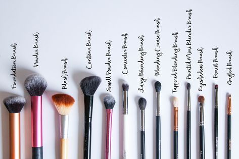 Makeup Utensils, Affordable Makeup Brushes, Eyeliner Shapes, How To Use Makeup, Brush Guide, Vibrant Makeup, Beginners Makeup, Makeup Brushes Guide, Simple Eyeshadow