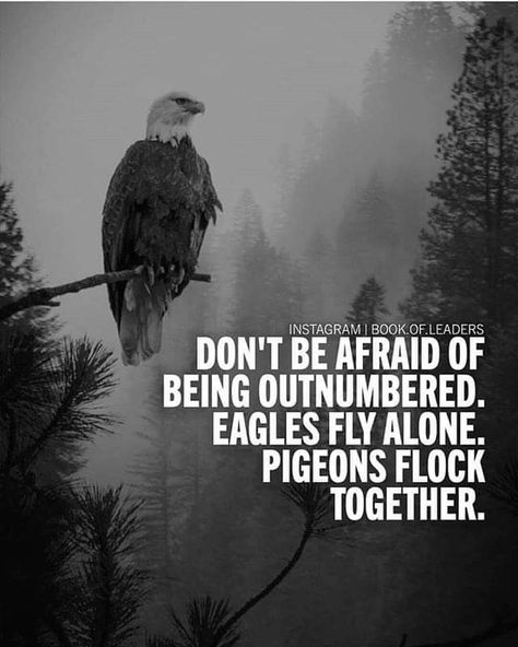 Be a leader. Be someone that others look up to. Don't follow the crowd. They will lead you down the wrong path. Eagles Quotes, Citation Encouragement, Trick Quote, Jack Ma, Motivational Quotes For Students, Warrior Quotes, Quotes For Students, Millionaire Lifestyle, Billionaire Boys Club