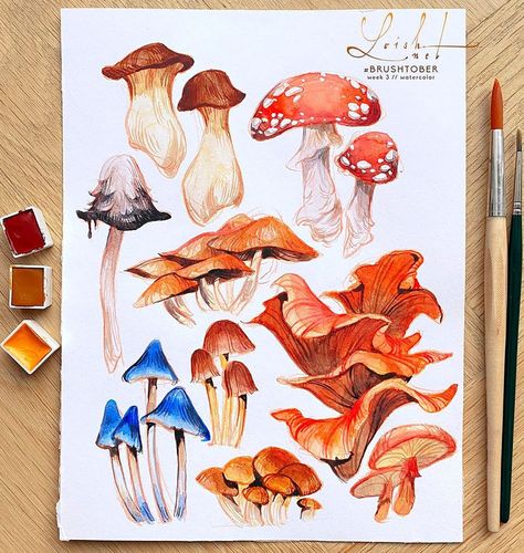 loish on Instagram: “I spent today painting mushrooms for #brushtober while listening to podcasts, and it was just so soothing. I need to do this more often!…” Painting Mushrooms, Mushroom Drawing, Sketchbook Art Journal, Pinturas Disney, Mushroom Art, Stil Inspiration, Sketchbook Inspiration, Art Journal Inspiration, Art Plastique