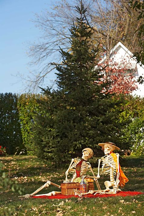 19 funny skeleton poses for this Halloween | Better Homes and Gardens Halloween Porch Ideas Skeletons, Garden Skeleton Ideas, Halloween Decorations Skeleton Funny, Halloween Skeleton Scenes Outdoor, Lawn Skeleton Ideas, Halloween Decor Skeletons, Funny Skeleton Lawn Decorations, Pose Skeleton For Halloween, Skeleton Displays For Halloween Funny