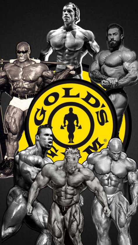 Mr.Olympia Arnold Ronnie and Cbum Mr Olympia, Gym Rat, Olympia, Rats, Gym