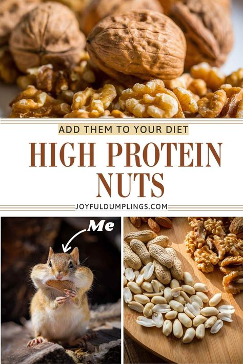 8 Best High Protein Nuts and Seeds for Snacking Protein Packed Snacks, Protein Intake, Cooking 101, Nuts And Seeds, Healthier Lifestyle, Overall Health, Learn To Cook, Find Recipes, Nutrition Recipes