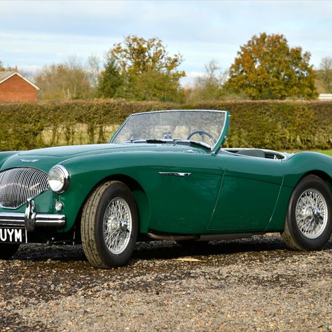 Original left hand drive Austin Healey 100/4 BN1 Totally restored a perfect example. Austin Healey, Jaguar E Type, Milton Keynes, E Type, Test Drive, Series 3, Left Hand, Jaguar, Antique Cars