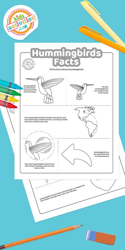 Hummingbird Crafts For Kids, Hummingbird Activities, Hummingbird Crafts, Hummingbird Facts, Preschool Birds, Bird Printables, Bird Study, Preschool Spring, Spring Preschool