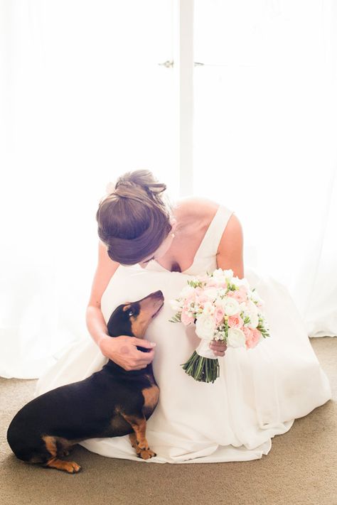 Dachshund At Wedding, Bride And Dog, Dachshund Wedding, Wedding Dogs, Dog Wedding Outfits, Tattoos For Dog Lovers, Rustic Wedding Photography, Rustic Farm Wedding, Polka Dot Wedding