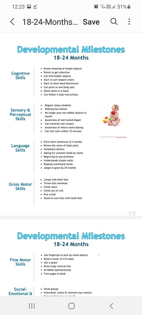 16 Month Milestones, 20 Month Old Milestones, Developmental Milestones Toddlers, Developmental Milestones Checklist, Developmental Milestones Chart, Month Milestones, Milestone Chart, Toddler Teacher, Developmental Milestones