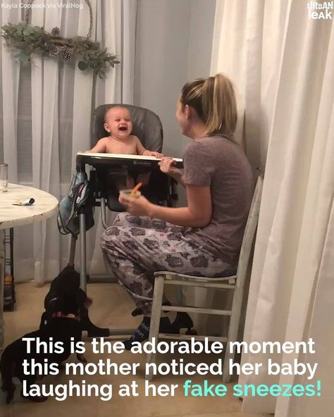 Urban Leak - Baby Hysterically Laughs At Mom's Fake Sneeze... Funny Baby Memes, Baby Memes, Cute Funny Babies, 웃긴 사진, Cute Stories, Baby Gif, Funny Video Memes, Kids Videos