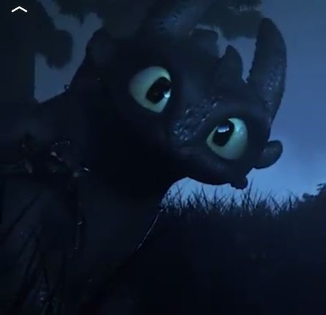 Httyd Pfp, Toothless Funny, Httyd Wallpaper, Pfp Fanart, Httyd Toothless, Train Dragon, Dragon Icon, Funny Dragon, The Hidden World