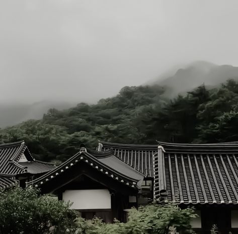 Dark Green Aesthetic, Japan Aesthetic, Aesthetic Japan, Gray Aesthetic, Green Theme, Japanese Aesthetic, Aesthetic Themes, Nature Aesthetic, White Aesthetic