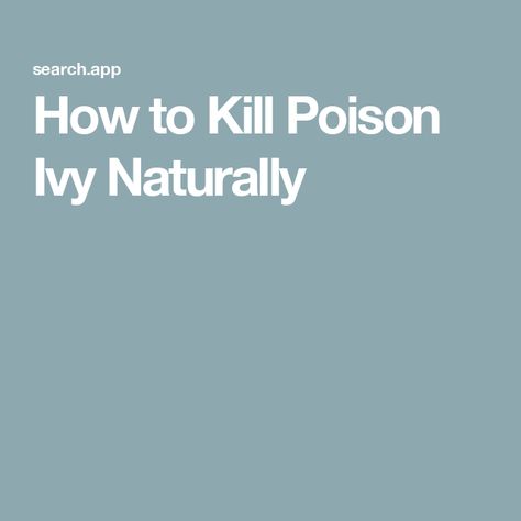 How to Kill Poison Ivy Naturally Kill Poison Ivy Naturally, Kill Poison Ivy, Itchy Rash, Poison Ivy, Ivy, Nature