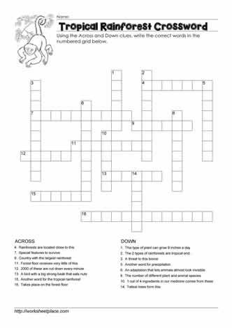 Rainforest Worksheets, Cross Word, Spring Break Kids, Rainforest Theme, Kids Camp, Geography Lessons, Music Worksheets, Word Puzzles, Activity Kits