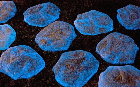 Luna Stones glow in the dark pavers ensemble night pic Glow In The Dark Rocks, Diy Pathway, Rock Pathway, Glow Rock, Backyard Ideas For Small Yards, Diy Glow, Small Yard, Stepping Stone, Diy Garden Projects